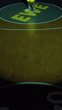 EWE_Baskets basketball bbl oldenburg ewe baskets GIF