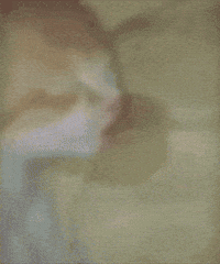 Sleepy Cat GIF