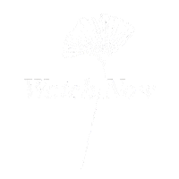 Ginkgo Sticker by Stereo Productions