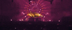 The Elite Dwx GIF by Dirty Workz