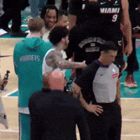 Lamelo Ball Basketball GIF by Respective