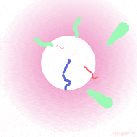artists on tumblr kirby allen GIF by Animation Domination High-Def