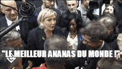 marine le pen wtf GIF by franceinfo