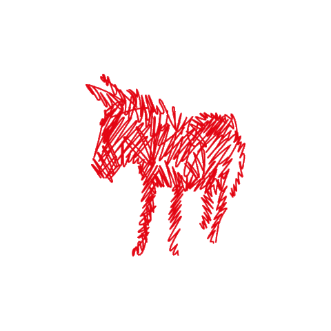 donkeyproducts giphyupload donkey donkeyproducts Sticker
