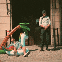 tenmusicgroup costa rica costarica benjamin ingrosso #benjaminingrosso GIF