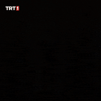 Turk Polis GIF by TRT
