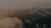 crossfit games GIF by CrossFit Inc.