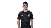 mexico national team no Sticker by MiSelecciónMX