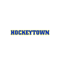 lausitzerfuechse hockeytown lausitzerfüchse weisswasser lausitzerfuechse Sticker