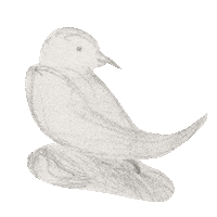 Little Things Illustration Sticker by 4AD