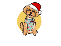 Cavapoo Sticker
