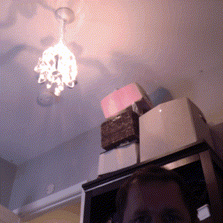 thank you obama GIF by The Standing O