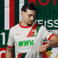 Football Bundesliga GIF by FC Augsburg 1907