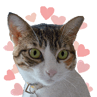 In Love Heart Eyes Sticker