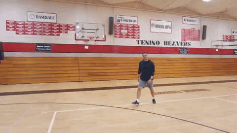 Olympics Athletics GIF by moonbug