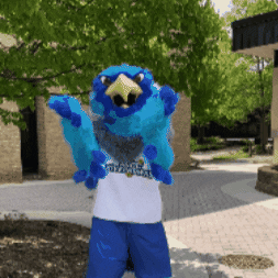 Clap Clapping GIF by Anne Arundel Community College