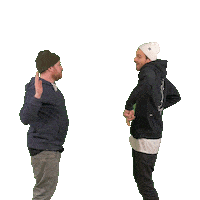 High Five Fimbim Sticker by funk