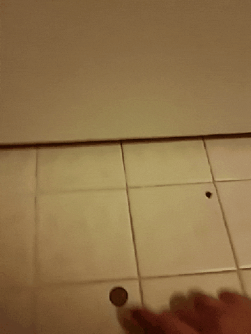 house door GIF