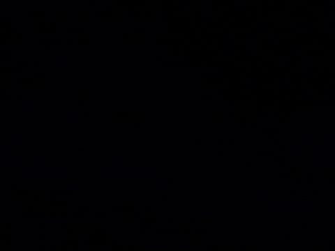 music video girl with basket of fruit GIF by Polyvinyl Records