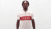 Vfb Stuttgart Yawn GIF by Bundesliga