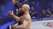 Sport Mma GIF by UFC
