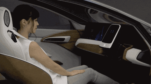 Auto Erotica GIF