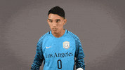 Mens Soccer GIF by Cal State LA Golden Eagles