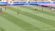 Emily Van Egmond Goal GIF by Football Australia