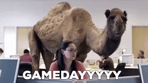 cmck11 giphygifmaker gameday camel GIF