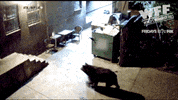 world's fails GIF by World’s Funniest
