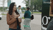 Season 2 Episode 3 GIF by Strays
