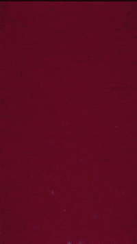 Tim Kasher GIF by 15 Passenger