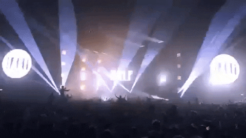 donbroco giphygifmaker GIF
