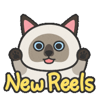 Reels Sticker