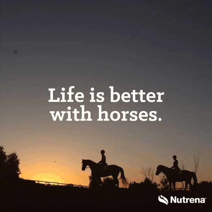 Horse GIF by Nutrena Feed