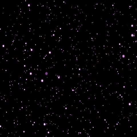 to cry oh no GIF by Percolate Galactic
