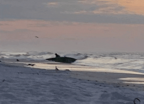 Stressless99 giphygifmaker GIF