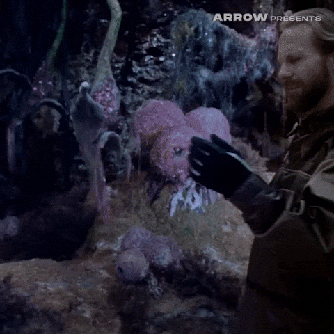 Science Fiction Film GIF by Arrow Video