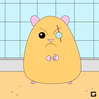 animal cruelty GIF by gifnews