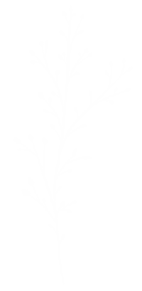 allurecph nature flowers floral allure copenhagen Sticker