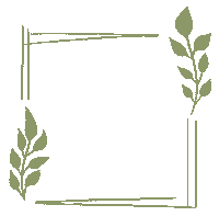 allurecph nature flower plant floral Sticker