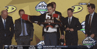 nhl sports sport hockey nhl GIF