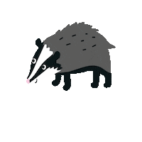 Badger Sticker by Toby tiger