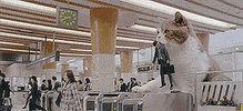 china cats GIF