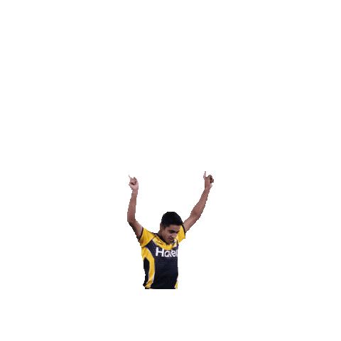 Yellowstorm Sticker by Peshawar Zalmi