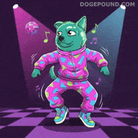 Happy Get Down GIF by Doge Pound