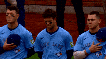 Blue Jays Baseball GIF by Toronto Blue Jays