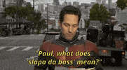 paul rudd GIF by Night of Too Many Stars HBO