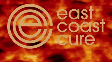 Ecc420 GIF by East Coast Cure
