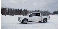 hockeyland hockey winter row golden bears GIF